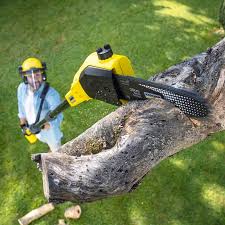 Best Lawn Maintenance Plans  in Vernon Hls, IL